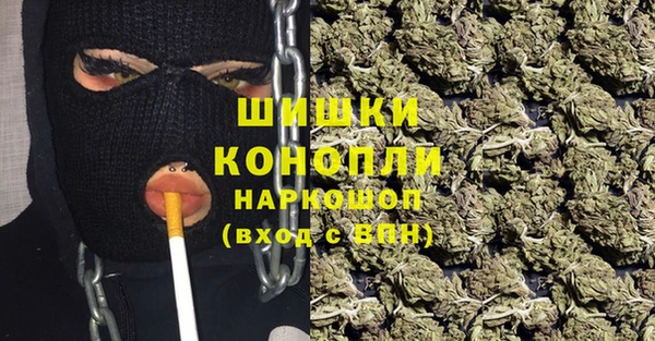 винт Рославль