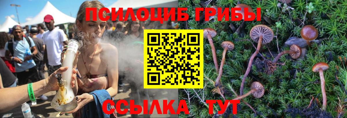 Псилоцибиновые грибы Psilocybine cubensis  Вход с VPN  Балахна 