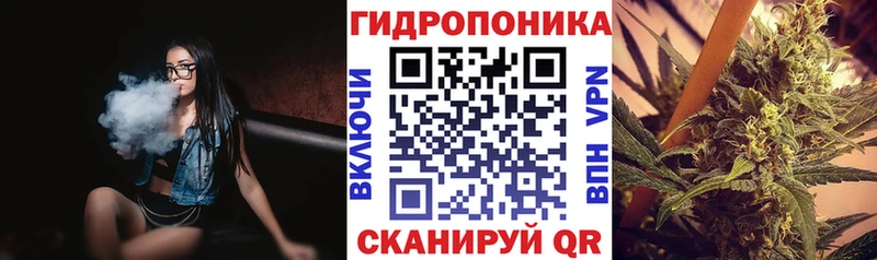 Канабис гибрид  Балахна 